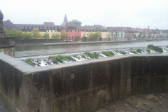 Foto010